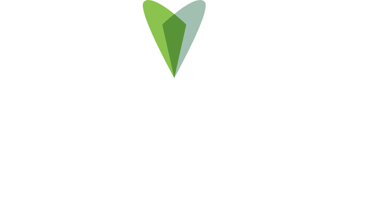 Logo VitalSight